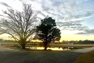 238 Wilson Woodard Rd, Eastman, GA 31023 - Photo 3