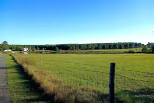 238 Wilson Woodard Rd, Eastman, GA 31023 - Photo 107