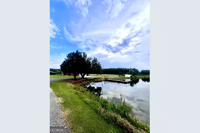 238 Wilson Woodard Road, Eastman, GA 31023 - Photo 95