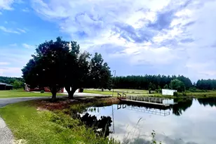 238 Wilson Woodard Rd, Eastman, GA 31023 - Photo 95