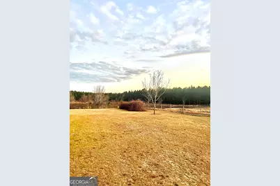 238 Wilson Woodard Road, Eastman, GA 31023 - Photo 17