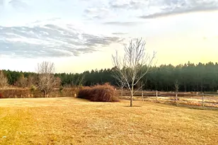 238 Wilson Woodard Rd, Eastman, GA 31023 - Photo 17