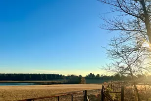 238 Wilson Woodard Rd, Eastman, GA 31023 - Photo 89