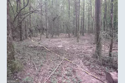 7001 Coatsworth Drive #LOT 1, Stockbridge, GA 30281 - Photo 25