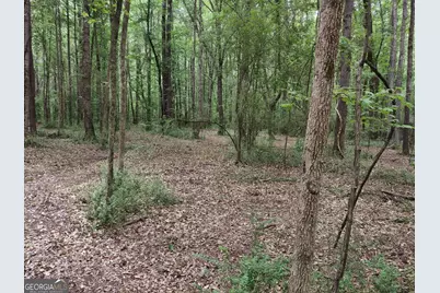7001 Coatsworth Drive #LOT 1, Stockbridge, GA 30281 - Photo 17