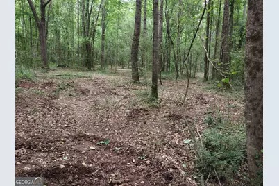 7001 Coatsworth Drive #LOT 1, Stockbridge, GA 30281 - Photo 11