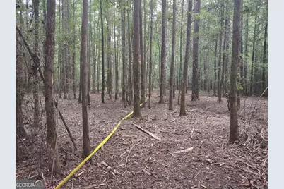 7001 Coatsworth Drive #LOT 1, Stockbridge, GA 30281 - Photo 27