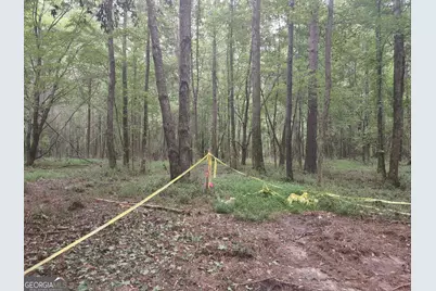 7001 Coatsworth Drive #LOT 1, Stockbridge, GA 30281 - Photo 35
