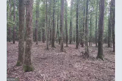 7001 Coatsworth Drive #LOT 1, Stockbridge, GA 30281 - Photo 19