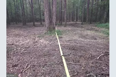 7001 Coatsworth Drive #LOT 1, Stockbridge, GA 30281 - Photo 31