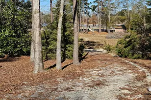 2262 Carter Bight Landing Rd, Surrency, GA 31563 - Photo 15