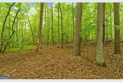 0 Honey Tree Terrace, Dahlonega, GA 30533 - Photo 11