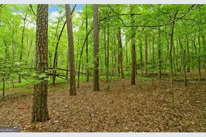 0 Honey Tree Terrace, Dahlonega, GA 30533 - Photo 17