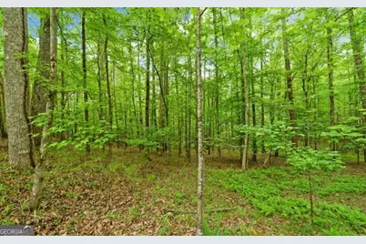 0 Honey Tree Terrace, Dahlonega, GA 30533 - Photo 25