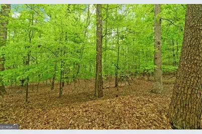 0 Honey Tree Terrace, Dahlonega, GA 30533 - Photo 9