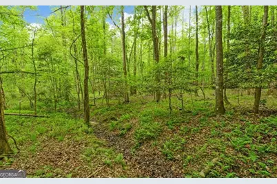 0 Honey Tree Terrace, Dahlonega, GA 30533 - Photo 19