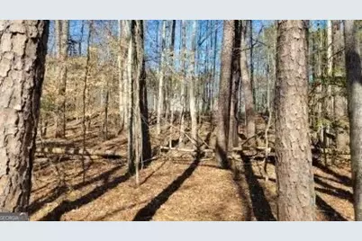 0 Honey Tree Terrace, Dahlonega, GA 30533 - Photo 35