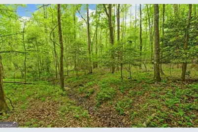 0 Honey Tree Terrace, Dahlonega, GA 30533 - Photo 19