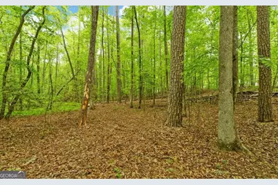 0 Honey Tree Terrace, Dahlonega, GA 30533 - Photo 11