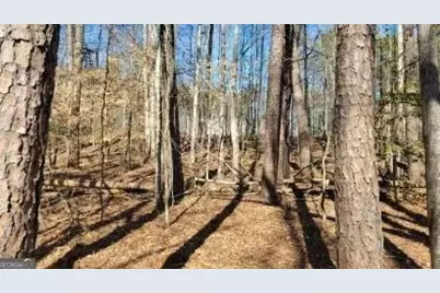 0 Honey Tree Terrace, Dahlonega, GA 30533 - Photo 35