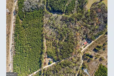 1014 Iler Road, Pembroke, GA 31321 - Photo 3
