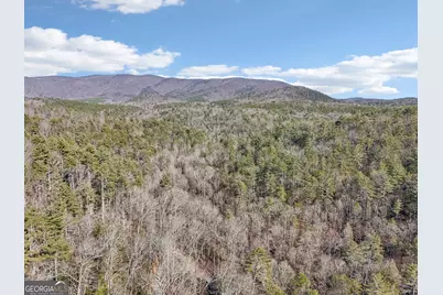 581 Etowah Trail, Dahlonega, GA 30533 - Photo 73