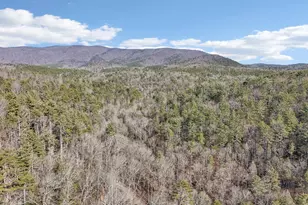 581 Etowah Trail, Dahlonega, GA 30533 - Photo 73