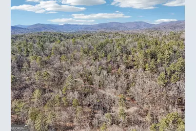 581 Etowah Trail, Dahlonega, GA 30533 - Photo 69