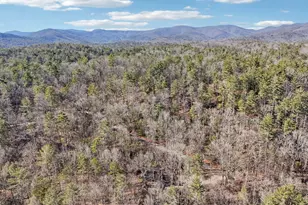 581 Etowah Trail, Dahlonega, GA 30533 - Photo 69