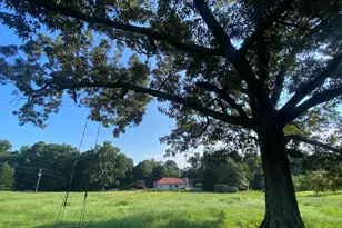 2223 Salem Rd, Watkinsville, GA 30677 - Photo 47