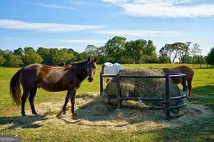 2223 Salem Rd, Watkinsville, GA 30677 - Photo 7