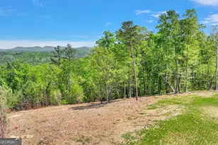 656 Lookout Vly Trl, Talking Rock, GA 30175 - Photo 1