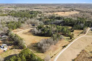 255 Barnett Rd, Hampton, GA 30228 - Photo 39