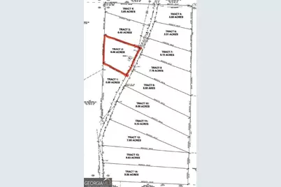 728 Lake Circle Road, Buchanan, GA 30113 - Photo 49