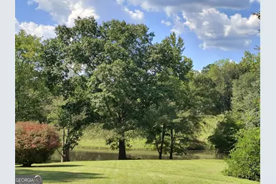 252 Moore Street, Whitesburg, GA 30185 - Photo 3