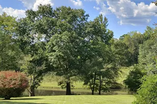 252 Moore St, Whitesburg, GA 30185 - Photo 3