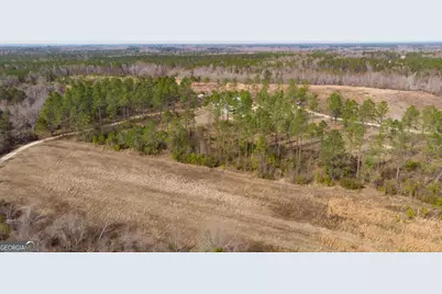 2039 Buttermilk Road, Portal, GA 30450 - Photo 37