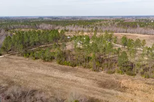 2039 Buttermilk Rd, Portal, GA 30450 - Photo 37