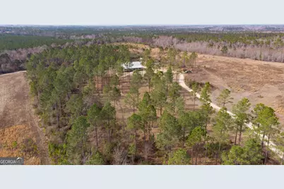 2039 Buttermilk Road, Portal, GA 30450 - Photo 41