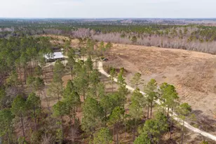 2039 Buttermilk Rd, Portal, GA 30450 - Photo 39