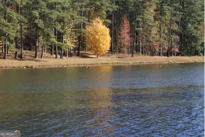 2724 Barnesville Hwy, Thomaston, GA 30286 - Photo 83