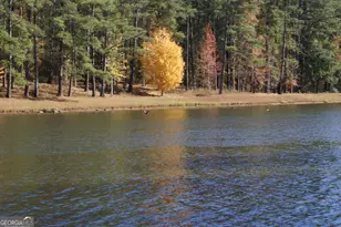 2724 Barnesville Hwy, Thomaston, GA 30286 - Photo 83