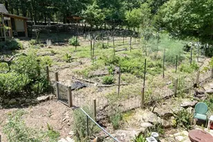 1257 Seymour Rd, Bowman, GA 30624 - Photo 89