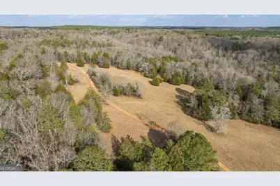 1257 Seymour Road, Bowman, GA 30624 - Photo 53