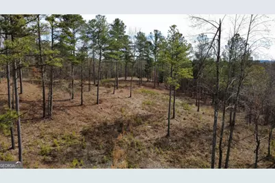Lot 108 Blalock Mountain Road, Talking Rock, GA 30175 - Photo 7