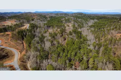 Lot 108 Blalock Mountain Road, Talking Rock, GA 30175 - Photo 3