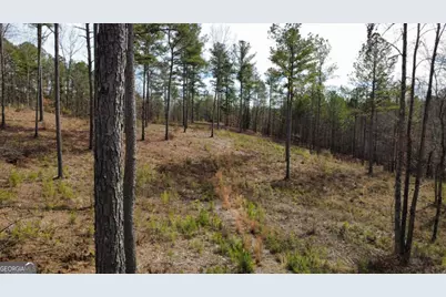 Lot 108 Blalock Mountain Road, Talking Rock, GA 30175 - Photo 9