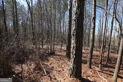 0 Highway 100, Tallapoosa, GA 30176 - Photo 5