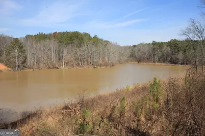 0 Stone Mtn Street, Tallapoosa, GA 30176 - Photo 7