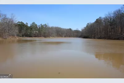 0 Stone Mtn Street, Tallapoosa, GA 30176 - Photo 5